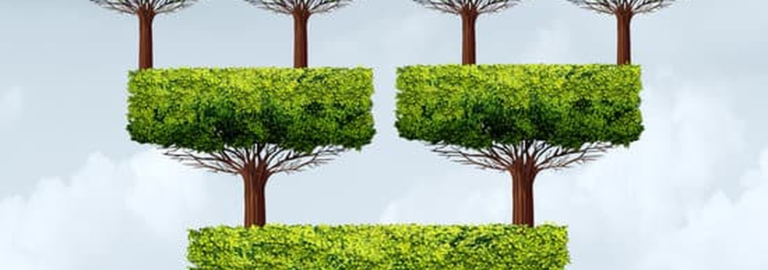 Franšiza i odabir davatelja franšize